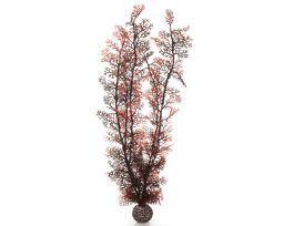 BIORB SEA FAN EXTRA LARGE CRIMSON EA