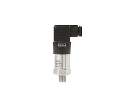 SS IP65 Pressure Transmitter, 0-10000 psis, 1/4" NPT