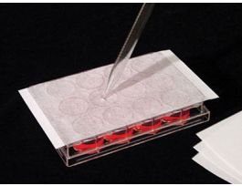 SEAL FILM AREASEAL NS PK100