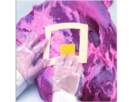 KIT MEAT CARCASS SAMPLING CS25