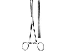 ALLEN INT FCP LNG SER 91/2 1X2