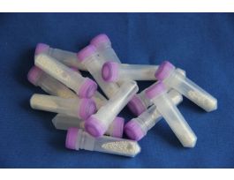 MATRIX E LYSING SPHERICAL 50 X 2ML TUBE