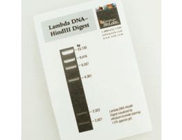 LAMBDA DNA-HIND III DIGEST
