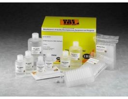 96-WELLDNA KITPLANT 2 PLATES