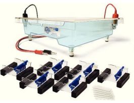 Apparatus HexaGel Electrophoresis EA