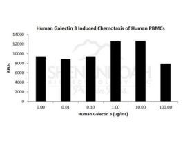 HUMAN GALECTIN-3 1MG