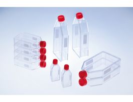 FLASK TC PLG CP 550ML CS50