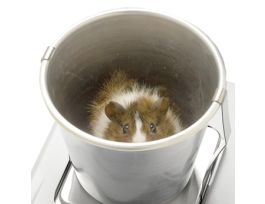 Animal Weighing Pan (For Models Of 320 G Capacity Or Higher)