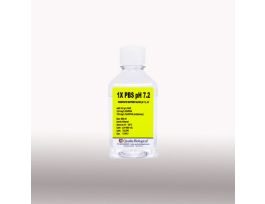 IN1X PBS PH 7.2, 10X500MLIN