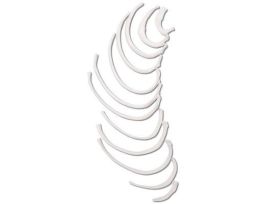MODEL RIBS HUMAN PLASTIC PK12