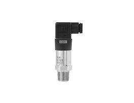 SS IP65 Pressure Transmitter, 0-500 psi, 1/2" NPT