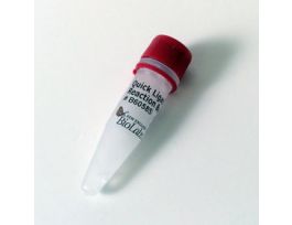 NEBNEXT REACT BUFFER 5X 2.0ML