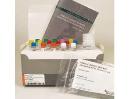 NEBNEXT MULTIPLEX SMALL RNA LI