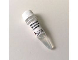 RIBONUCLEOTIDE SOL MIX