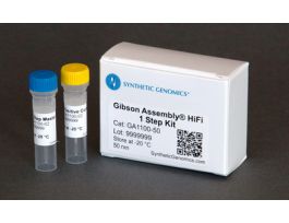 KIT GIBSON ASSEMBLY HIFI 1 STEP STARTER