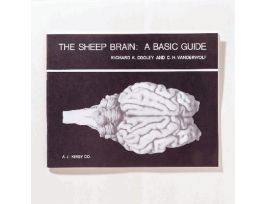 BOOK SHEEP BRAIN BASIC GUIDE(R COOLEY)