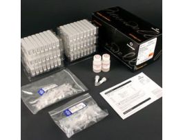 MAXWELL 16 VIRAL TNA KIT