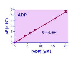 KIT ADP ASSAY ENZYCHROM 0.1 UM 100 TESTS