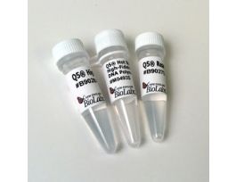 Q5 HOT START HIGH-FIDELITY DNA