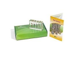 EMBEDMENT ROOT SYSTEMS