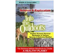 VIDEO SPECIES IN EXTREME WEATHER