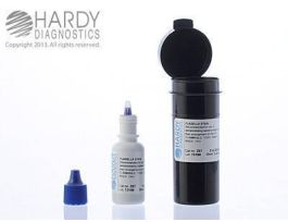 STAIN FLAGELLA SPOTDROP DROPR VIAL 15ML