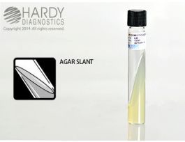 SLANT MYCOBIOTIC AGAR 20X125MM TUBE 10ML