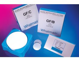 FILTERS GLASS GF/B 2.5CM PK100