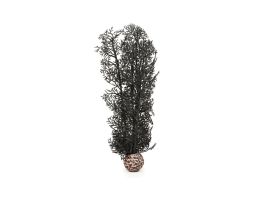 BIORB SEA FAN MEDIUM BLACK CS