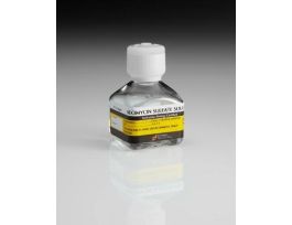 NEOMYCIN SULFATE SOLUTION 20ML