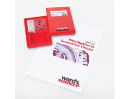 INTRO. CONNECTIVE TISSUE SET/12