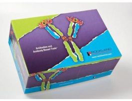 ANTI-SHEEP IGG HRP 50UL