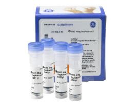 NHS MAG SEPHAROSE 500UL PK4