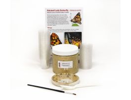 30 LARVAE REFILL - PREMIXED MEDIA