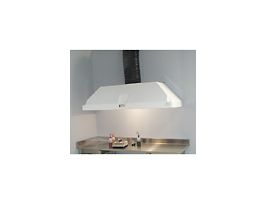 Ducted Wall Canopy Fume Hood, 48" W