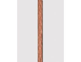 CABLE LOWERING AISI 304 V2A/PTFE CTD 50M