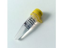 NEBNEXT REACT BUFFER 2.0 ML