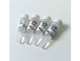 DEOXYNUCLEOTIDE SOLUTION SET