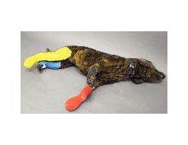 RUFUS K-9 BANDAGING & FIRST AID MANIKIN