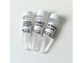 Endo H 10,000 units, Endoglycosidase