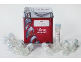 TRANSIT-X2DYNAMIC SYSTEM 1500UL PK10