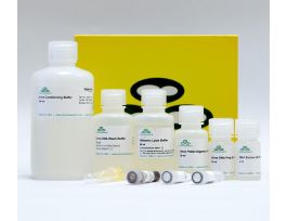 KIT QUICK-DNA URINE KIT 50 PREPS