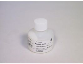 SOURCE 15RPC 10ML F/PROTEIN PUR