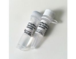 EPIMARK DNA POLYME 500RXNS