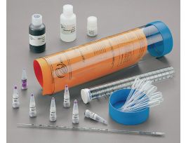 AMPLIFICATION OF DNA BY PCR
