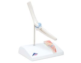 MODEL ELBOW FOR MINI JOINT SET