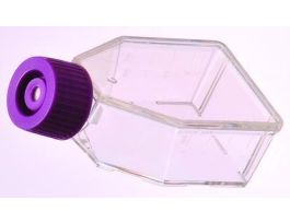 VWR FLASK TISSUE CULTURE 25ML VENT CAP