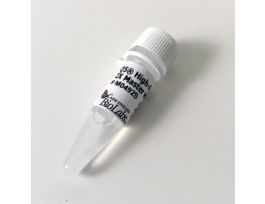 Q5 HIGH-FIDELITY 2X MASTER MIX