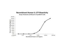 RECOM E.COLI HUMAN IL-17F >/=95% 25UG