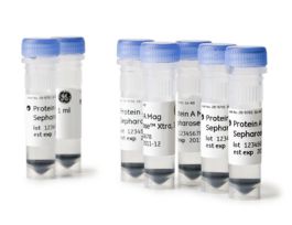 PROTEIN A MAG SEPHAROSE XTRA 2
